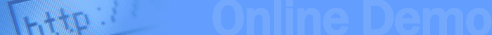Online Demo